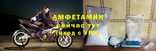 прущие грибы Алзамай