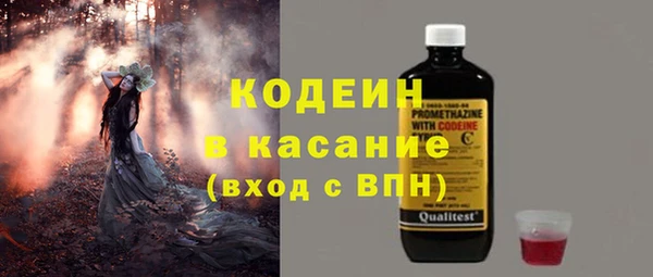 прущие грибы Алзамай