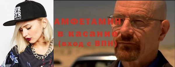 прущие грибы Алзамай