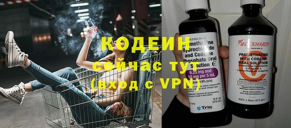 индика Ветлуга