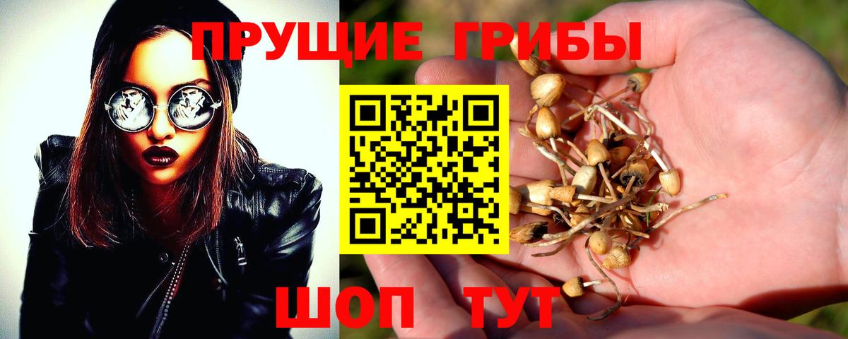 Изобильный  Галлюциногенные грибы Magic Shrooms  Вход с VPN 